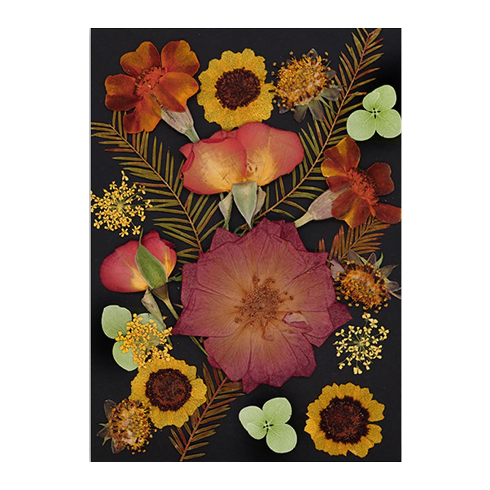 Jazuaiao Pressed Dried Flower for Resin Molds Natural Pressed Dried Flower Leaves for Scrapbooking Soap Jewelry Making Card Making