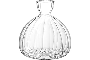 Large Indoor Avocado Seed Starter Transparent Vase