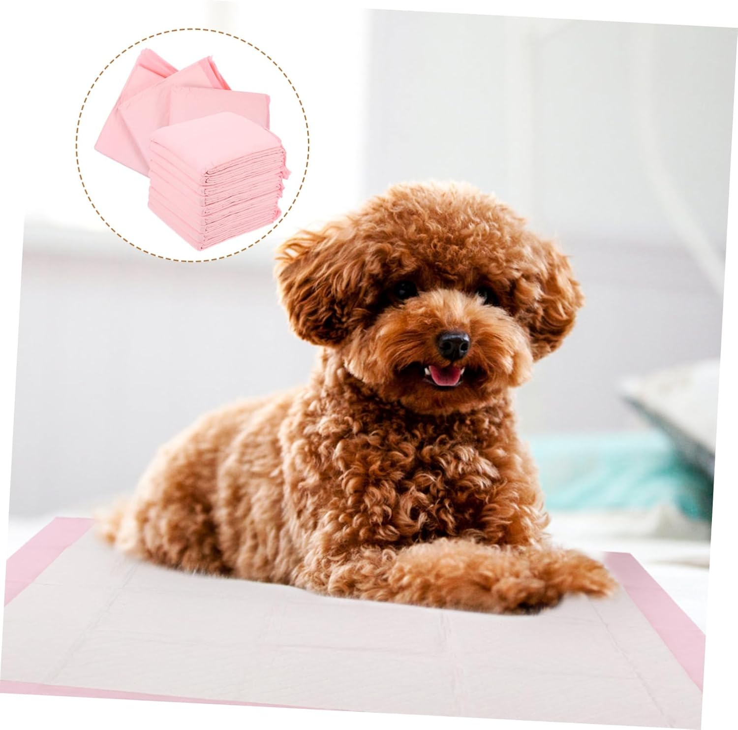 HANABASS Thickened PET Training Pads Absorbent Dog Diapers 60x60cm Large Size 40 Pieces/Pack for Housebreaking and Travel