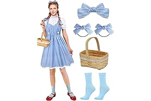 Dorothy Wizard of Oz Costume for the Grown-Ups
