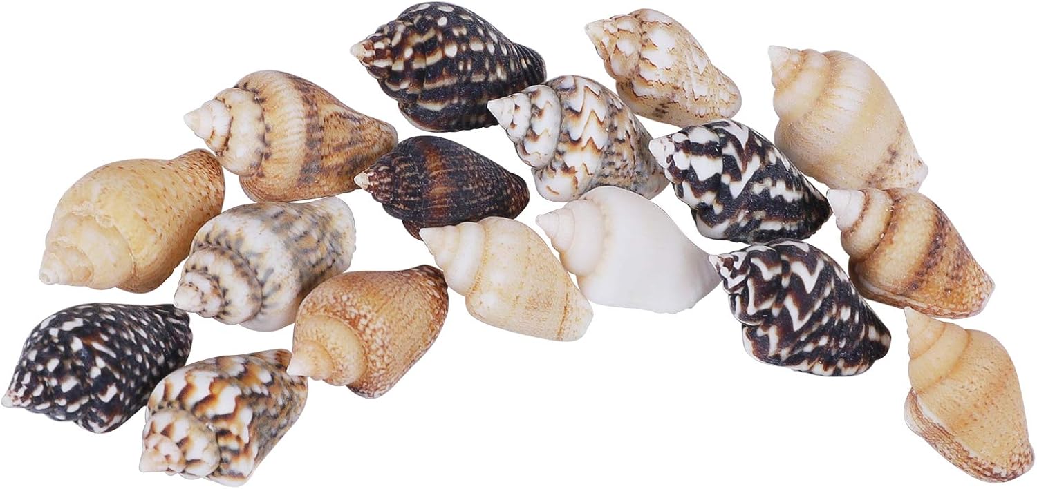 5000PCS Tiny Sea Shells Spiral Conch Shells Craft Charms for Home Decorations Candle Making Wedding Decor DIY Crafts Fish Tank and Beach Vase Filler