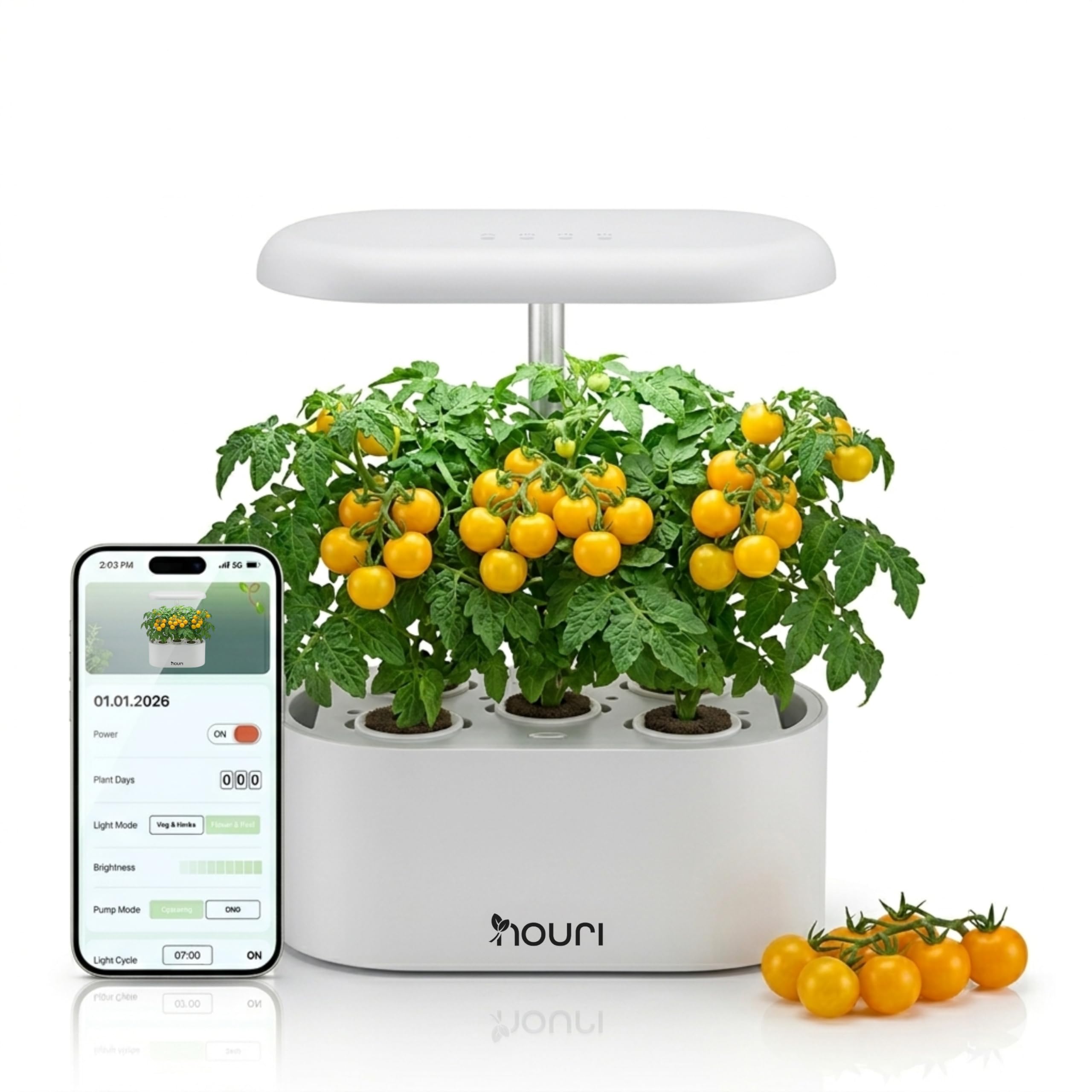 Nouri Hydroponics Growing System, 5 pod APP Smart Indoor Herb Garden Kit with LED Grow Lights, Hydroponic Herb Garden Indoor for Plant Lovers, Gardeners, Kitchen, Tomato Seeds Included