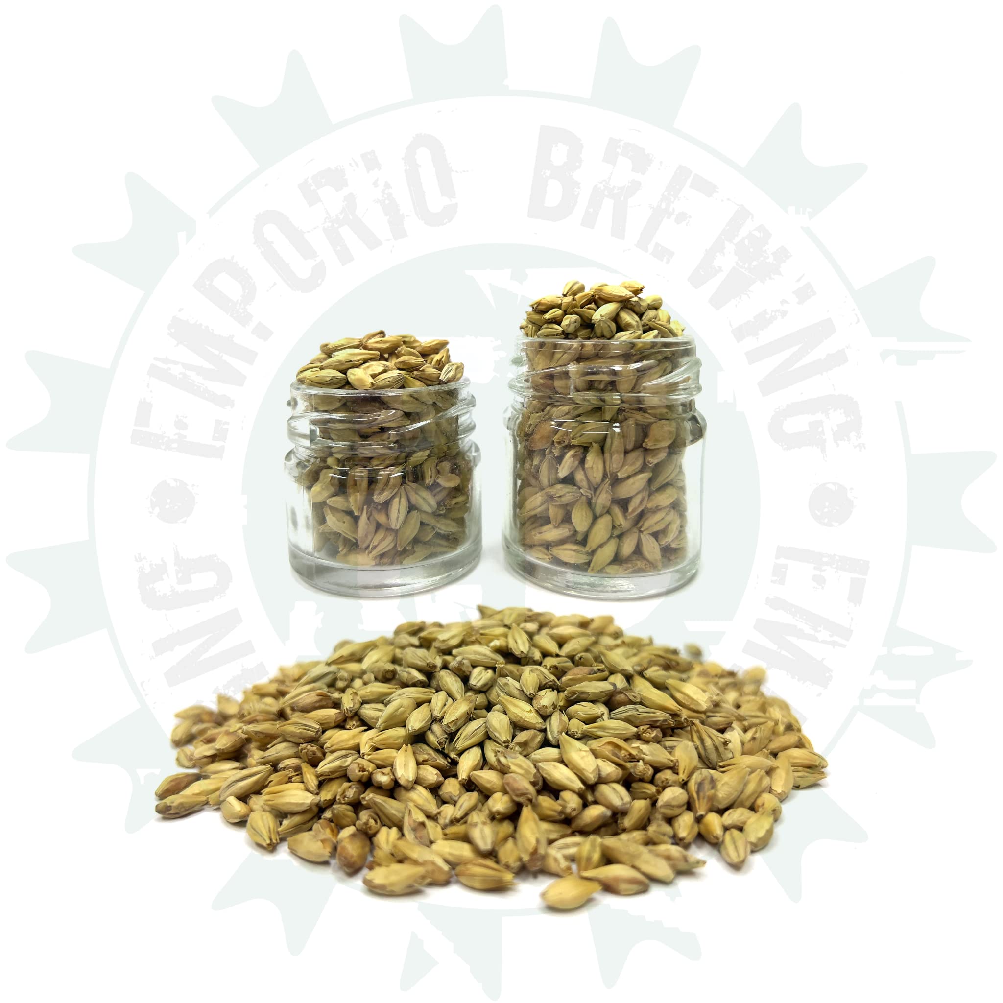 BEER KIT HOMEBREWERS | Kit per Fare Birra Pilsner | Fast Beer in pochi giorni | Preparazione con Malto e Luppoli - Fermentazione in Fusto - Materiali MADE IN ITALY