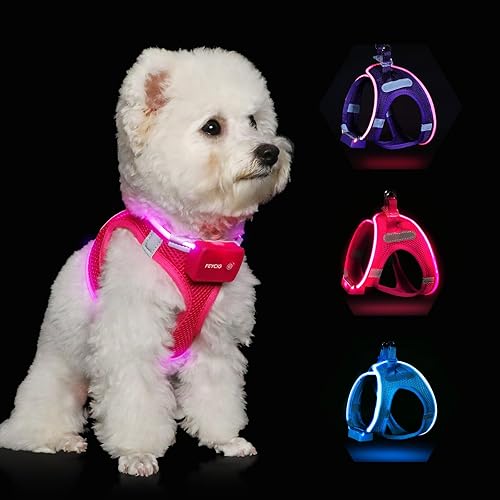 Arnés para perro con luz, malla sin tirones, arnés para perros pequeños y medianos