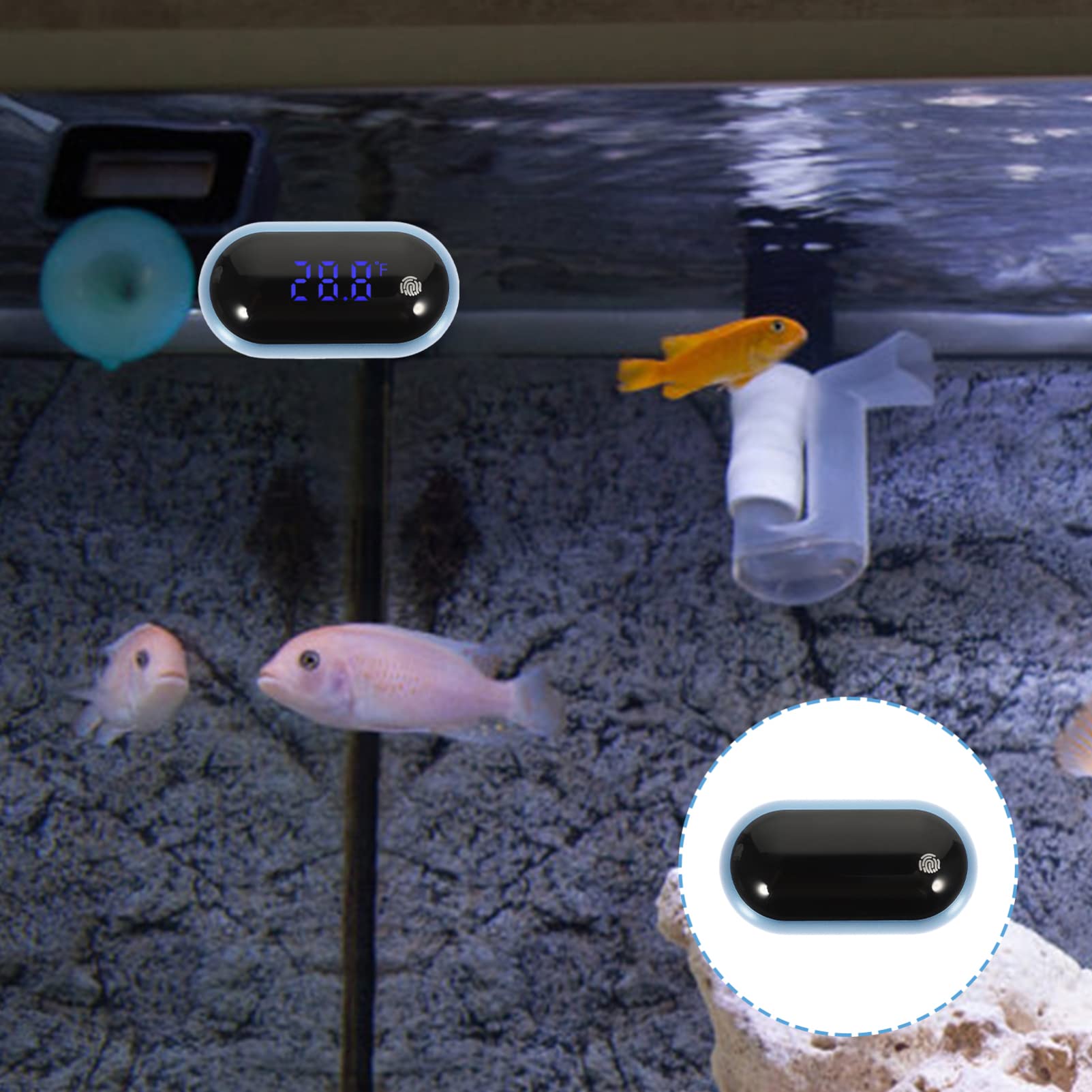 BESPORTBLE 3piezas De Acuario Digital Portátil Medidor De Temperatura Para Peceras Pantalla y Clara Materiales De Inoxidable y Herramienta De Medición Para Acuarios Domésticos