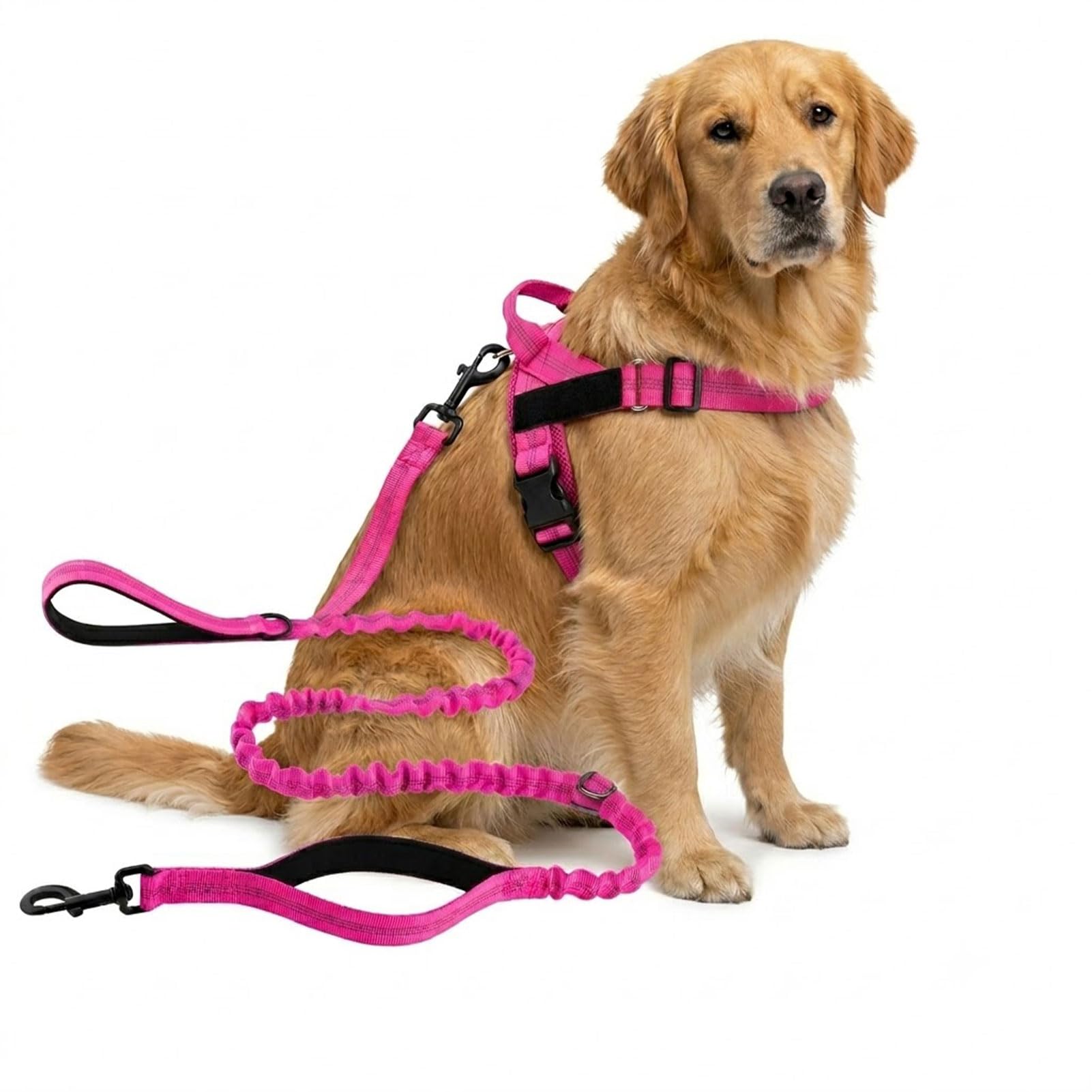 Veltrio Pettorina Cane Antitiro Regolabile, Set Complet 5-in-1 con Guinzaglio Elastico e Collare Catarifrangente, Pettorina Antitrazione per Cani Medi e Piccoli (Magenta,M)