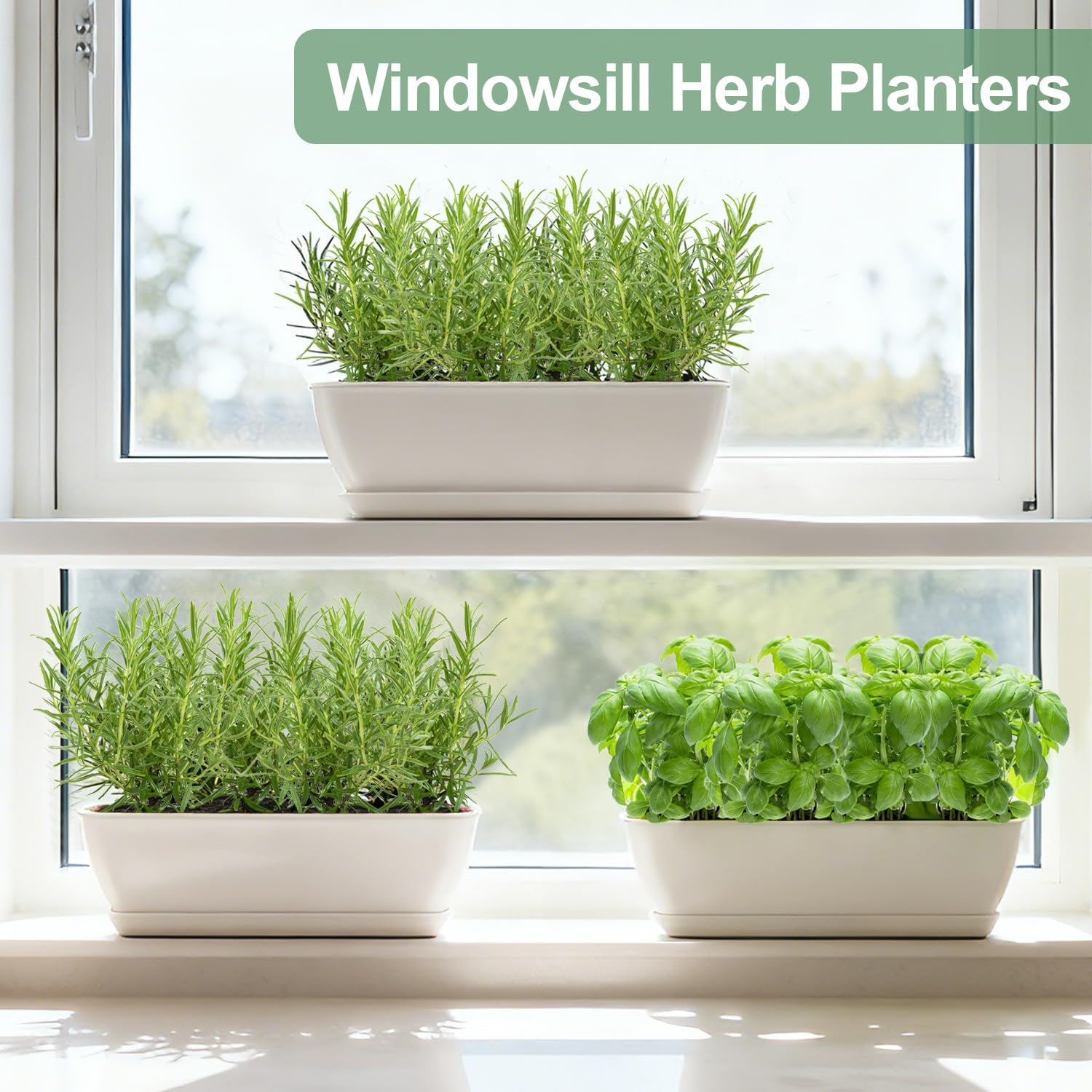 Oliz 8-Piece White Rectangular Window Sill Planters with Drainage Holes and Trays (11 Inches) for Basil, Orchids, and Succulents Modern Herb Garden Planters Suitable for Indoor/Outdoor Plants