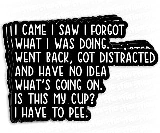 (3Pcs) I Came I Saw I Forgot What I was Doing Sticker Funny Sayings Sarcastic Quote Waterproof Vinyl Sticker for Laptop, Water Bottles, Phone, Kindle Merchandise Decor Decal Gifts 3 Inches