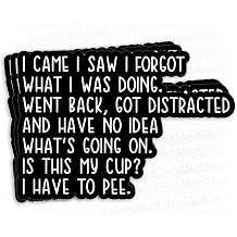 3Pcs I Came I Saw I Forgot What I was Doing Sticker - Funny Sayings