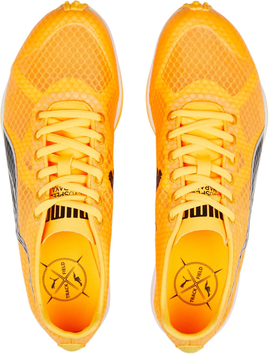 PUMA Men's Regular Long Distance Evospeed Haraka 7 Track & Field Shoes