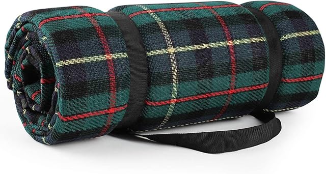 Simpeak Picnic Blanket with waterproof backing 150x200cm XL, Portable Foldable Large Beach Mat Picnicware for Outdoor Travel Camping Hiking Activities, Eye Green