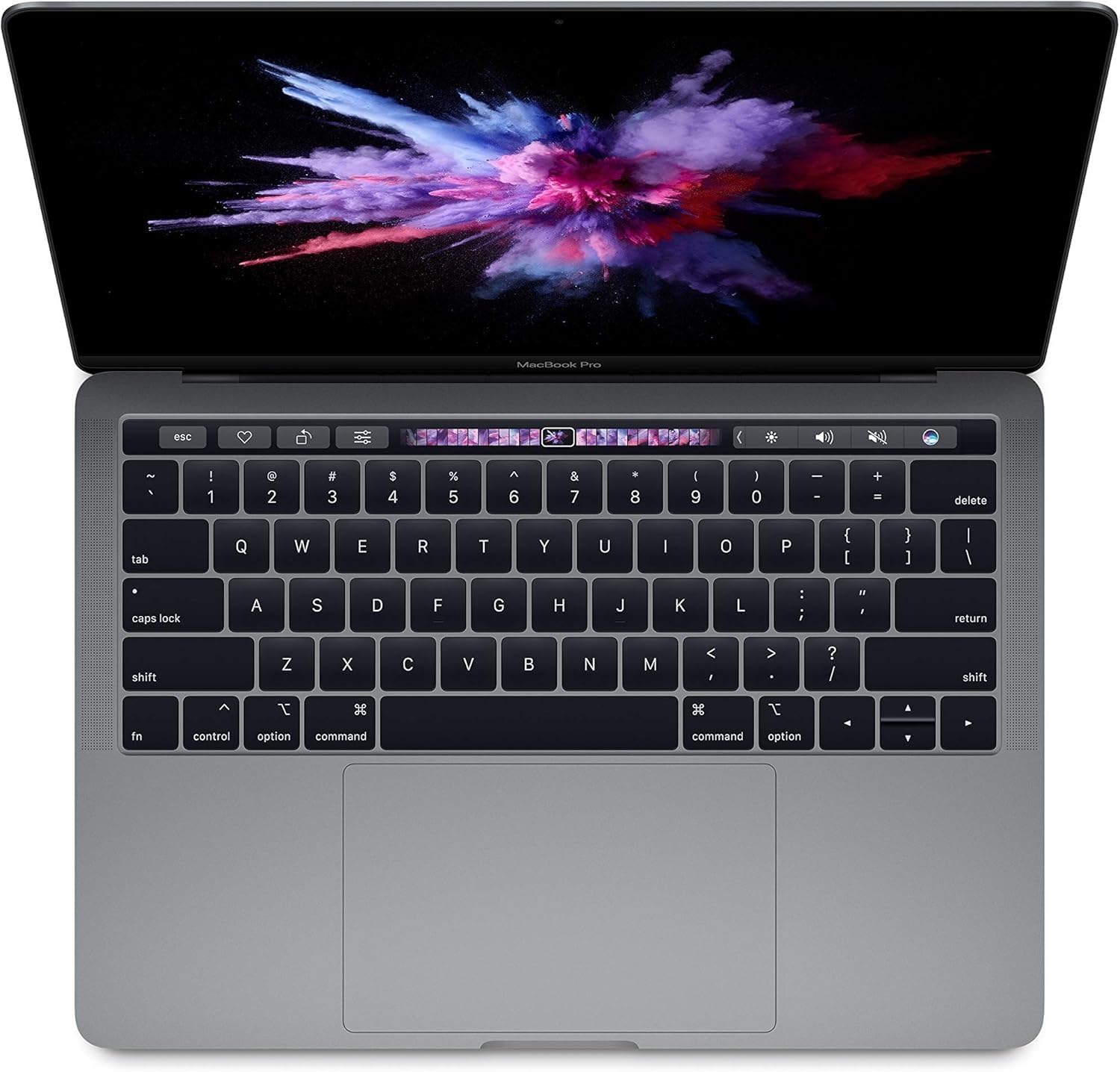 MacBook本体 MacBook Pro 16GB (13\
