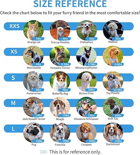 Miniatura 6 de voopet Juego de arnés y correa para perro, ligero para mascotas, cachorro y gato, cómodo chaleco de malla suave, arnés para perro, sin tirones, sin