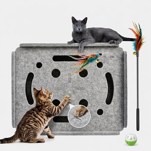 LuckyS Store 2026 New Cat Nail Scratcher with Balls & Teaser