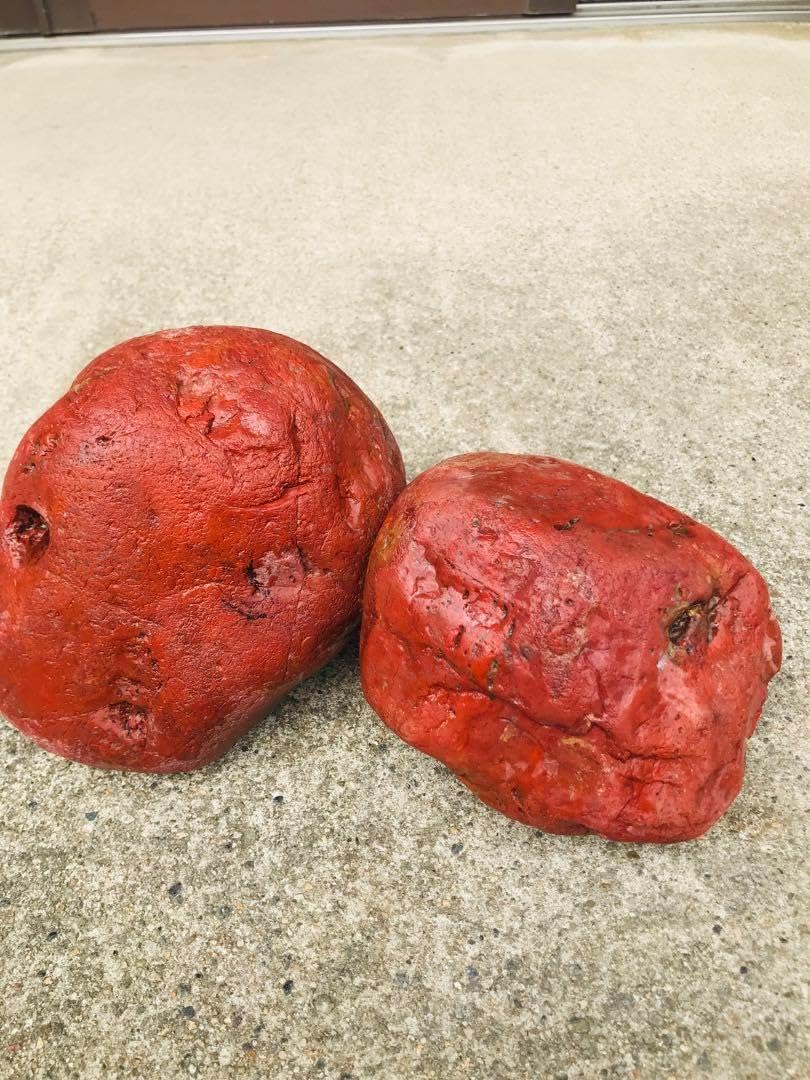 鑑賞石 赤玉石 赤碧石 自然石 原石 水石 盆石 レッドジャスパー 鑑賞石 赤玉石 赤碧石 自然石 原石 水石 盆石 レッドジャスパー 錦石