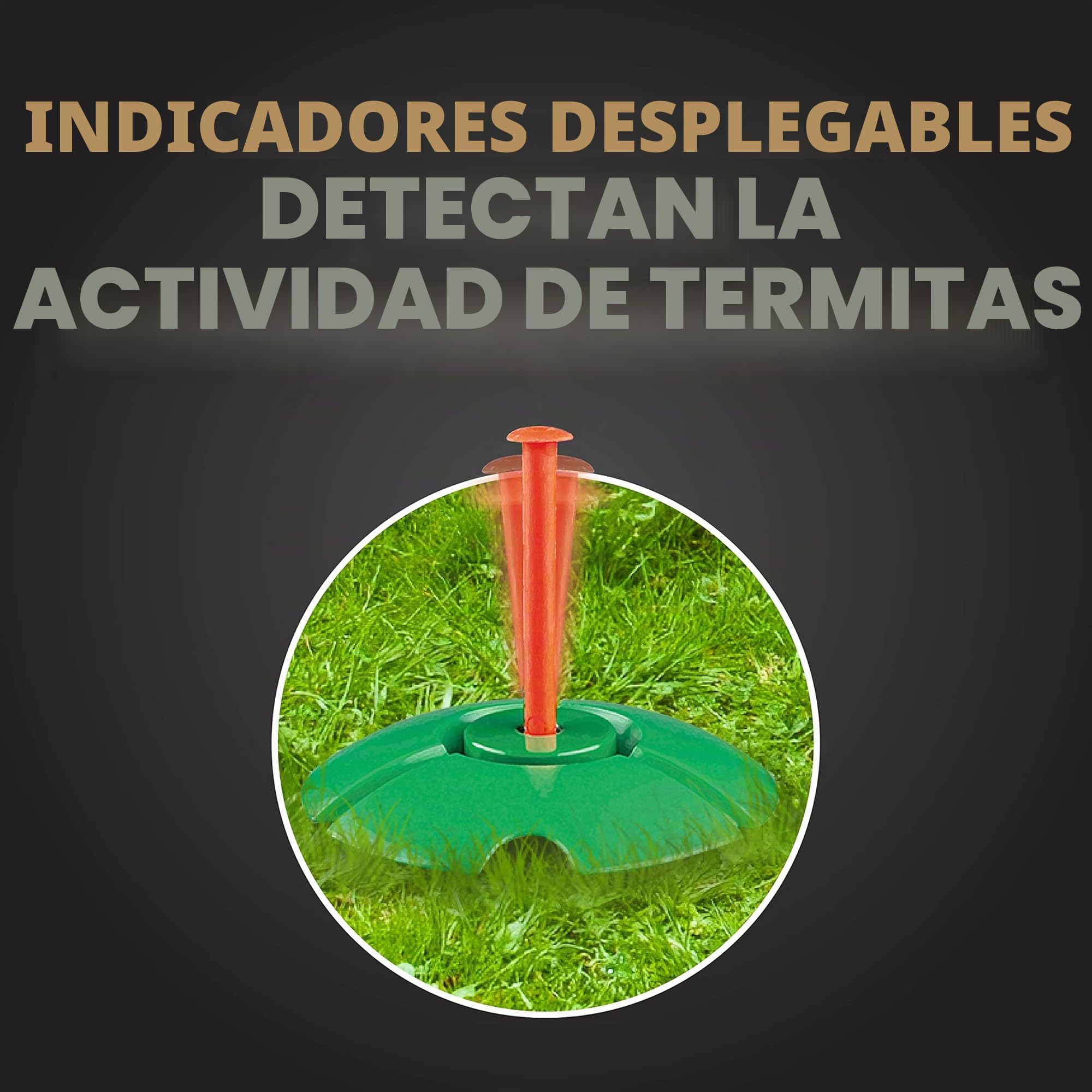 Spectracide Terminar detección termite & killing stakes2 (hg-96115) (15 ct)