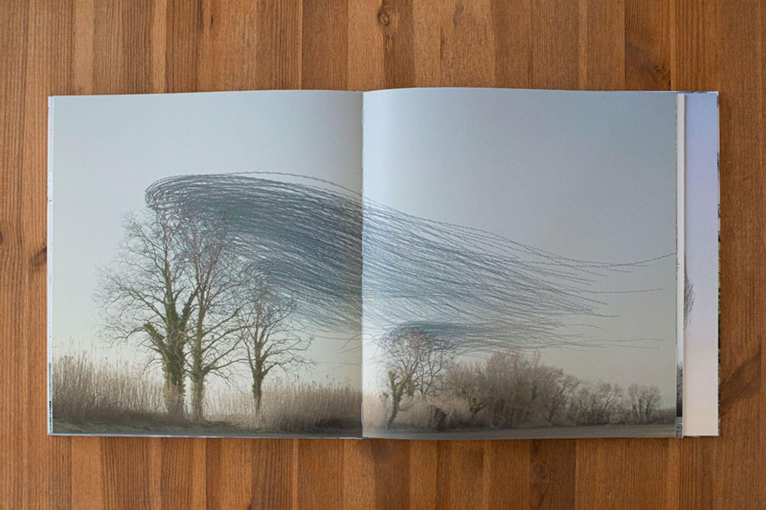 Ornithographies