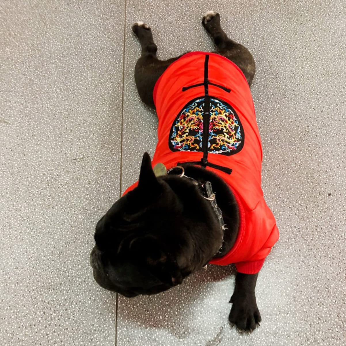 POPETPOP 3pezzi Costume Invernale Per Cani Con Design Creativo Abbigliamento Per Animali Domestici Stile Cinese Per Attività Outdoor e Uso Quotidiano Circonferenza Torace