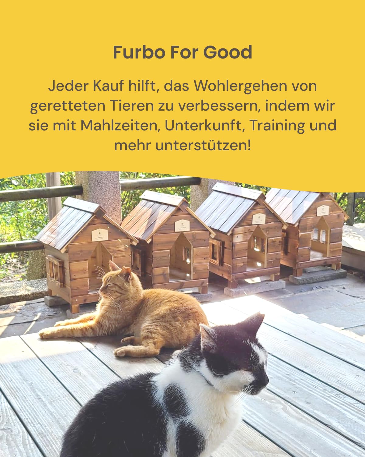 Furbo 360° Hundekamera [Basic Kamera]: Haustierkamera mit App, Rotierende 360° Sicht, Farbnachtsicht, Tracking, Leckerliwurf, Bell-Alarm, der Favorit von Haustierbesitzern auf der ganzen Welt