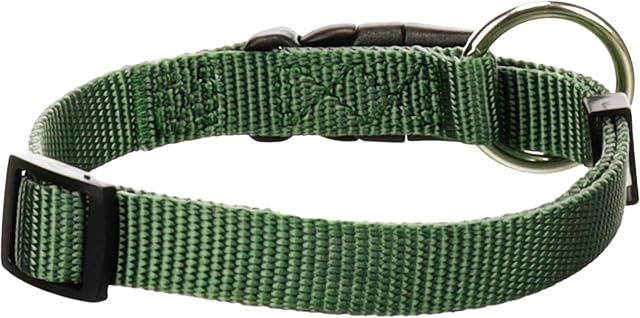 Foto 4 de 5 de Perro Collar Ziggi Caqui S 30-45cm 15mm