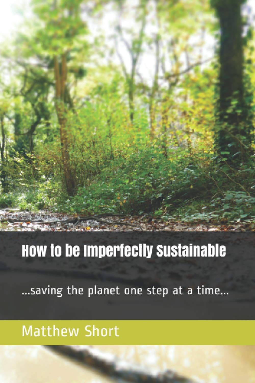 How to be Imperfectly Sustainable: ...saving the planet one step at a time...