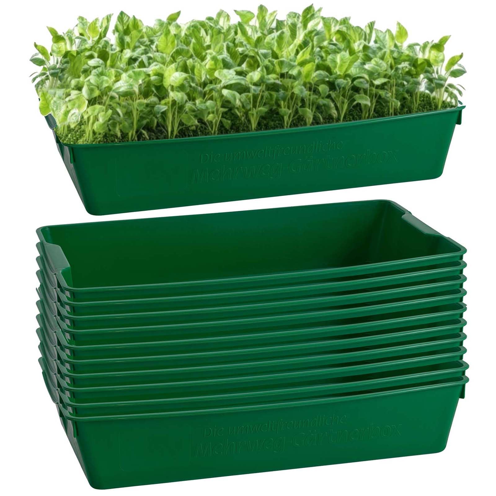 Gärtnerbox 58x32x11 cm Set 10er Pflanzschale Anzuchtwanne Semillas Verde