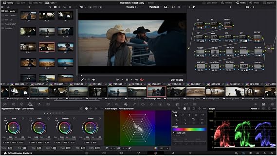 Blackmagic Design DaVinci Resolve 14 Studio License Key Item black