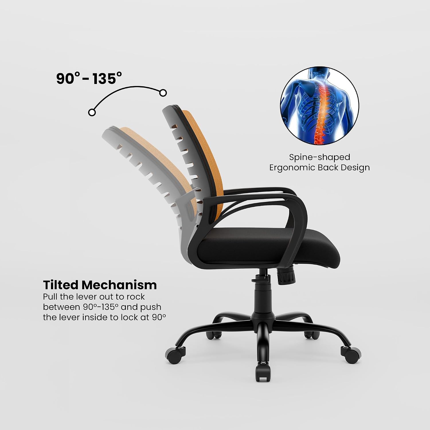 Product Variant View