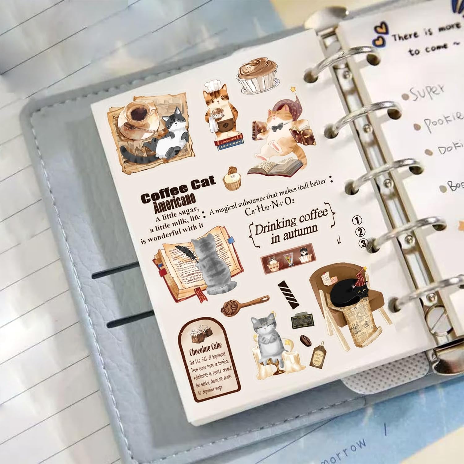 100PCS Cute Cat Stickers, Transparent Scrapbook Stickers image 5