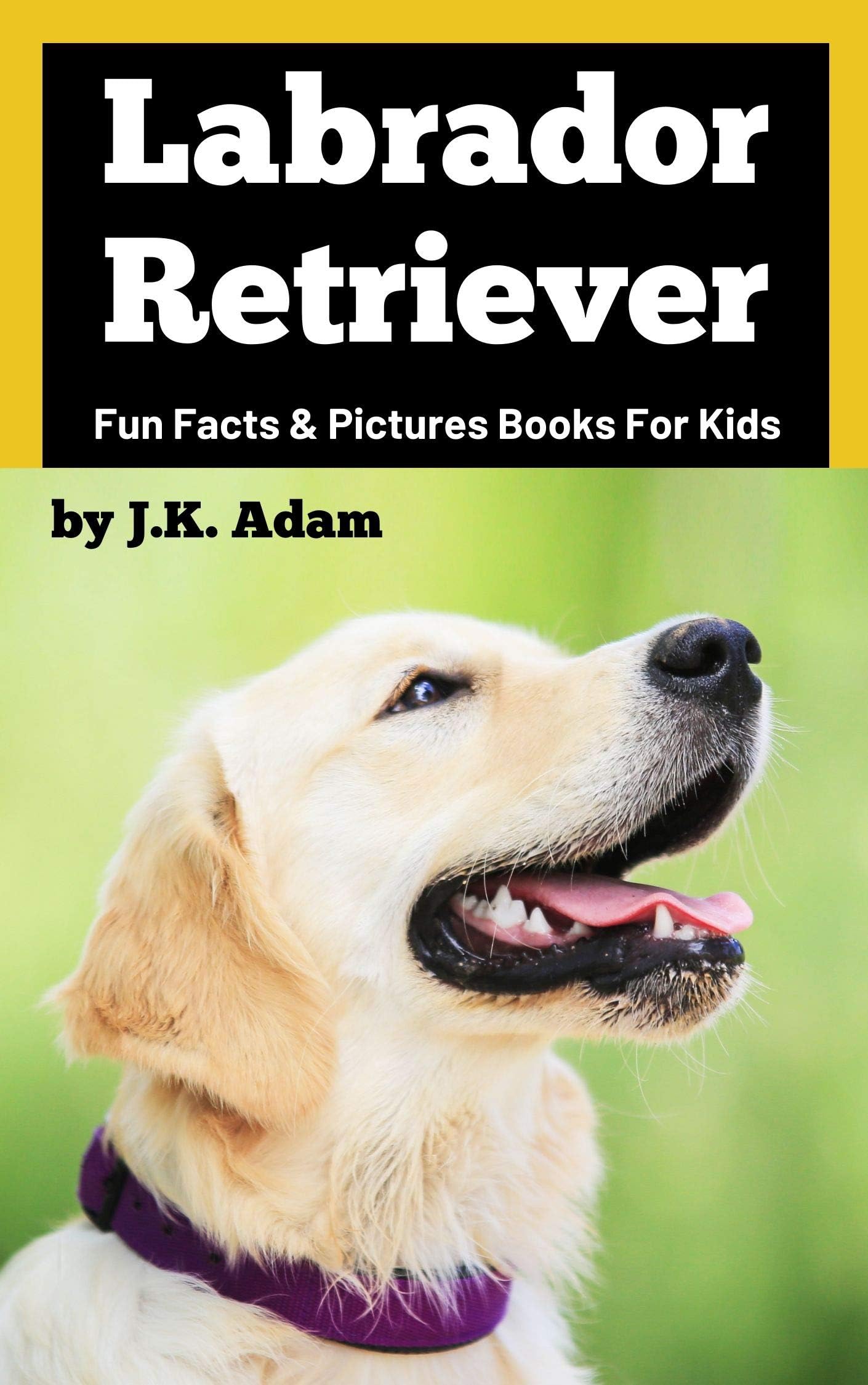 Labrador Retriever : Fun Facts & Pictures Books For Kids: Fun Facts & Pictures Books For Kids (Fun Facts & Pictures Books For Kids Book 1)