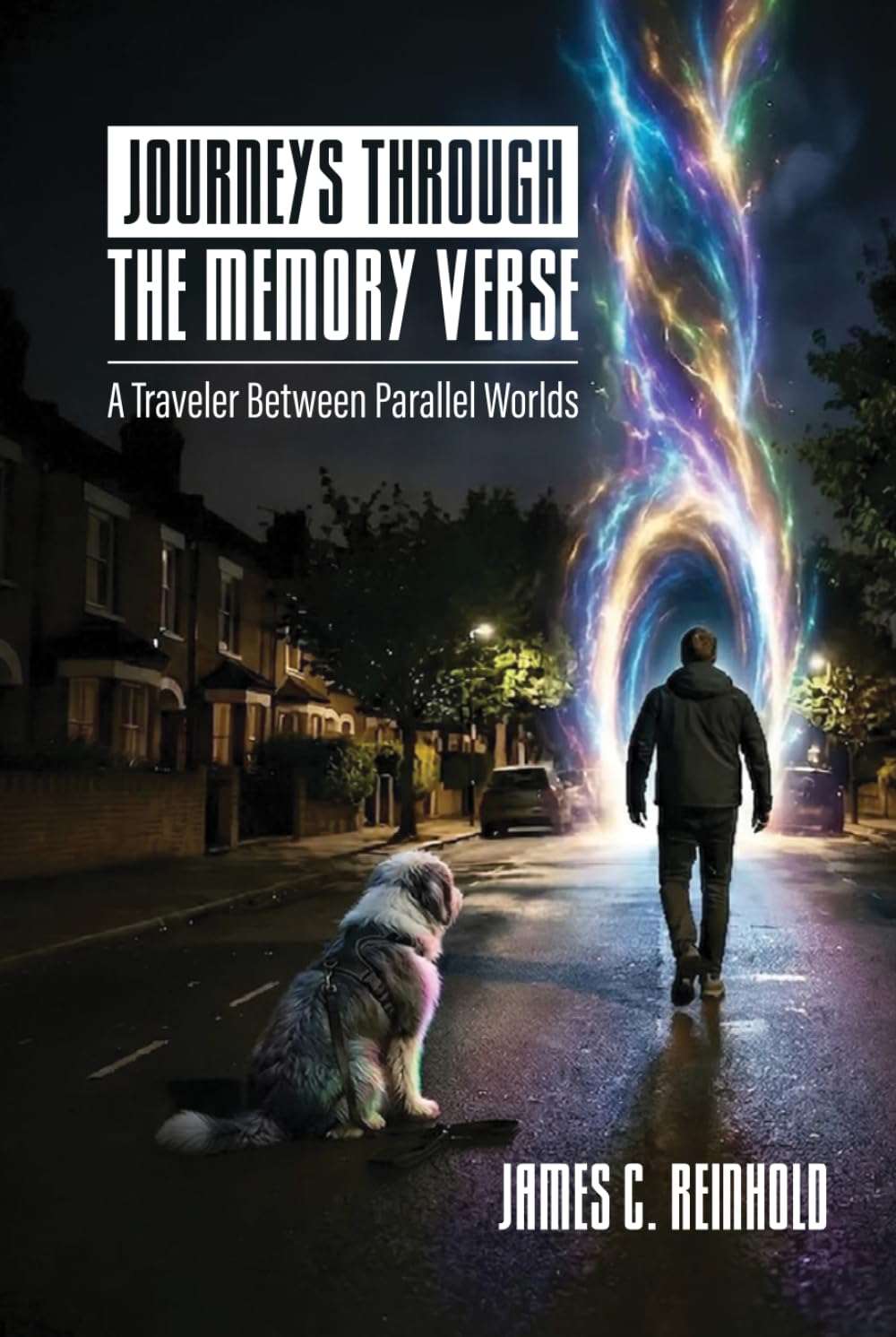 Journeys Through the Memory Verse: A Traveler Between Parallel Worlds