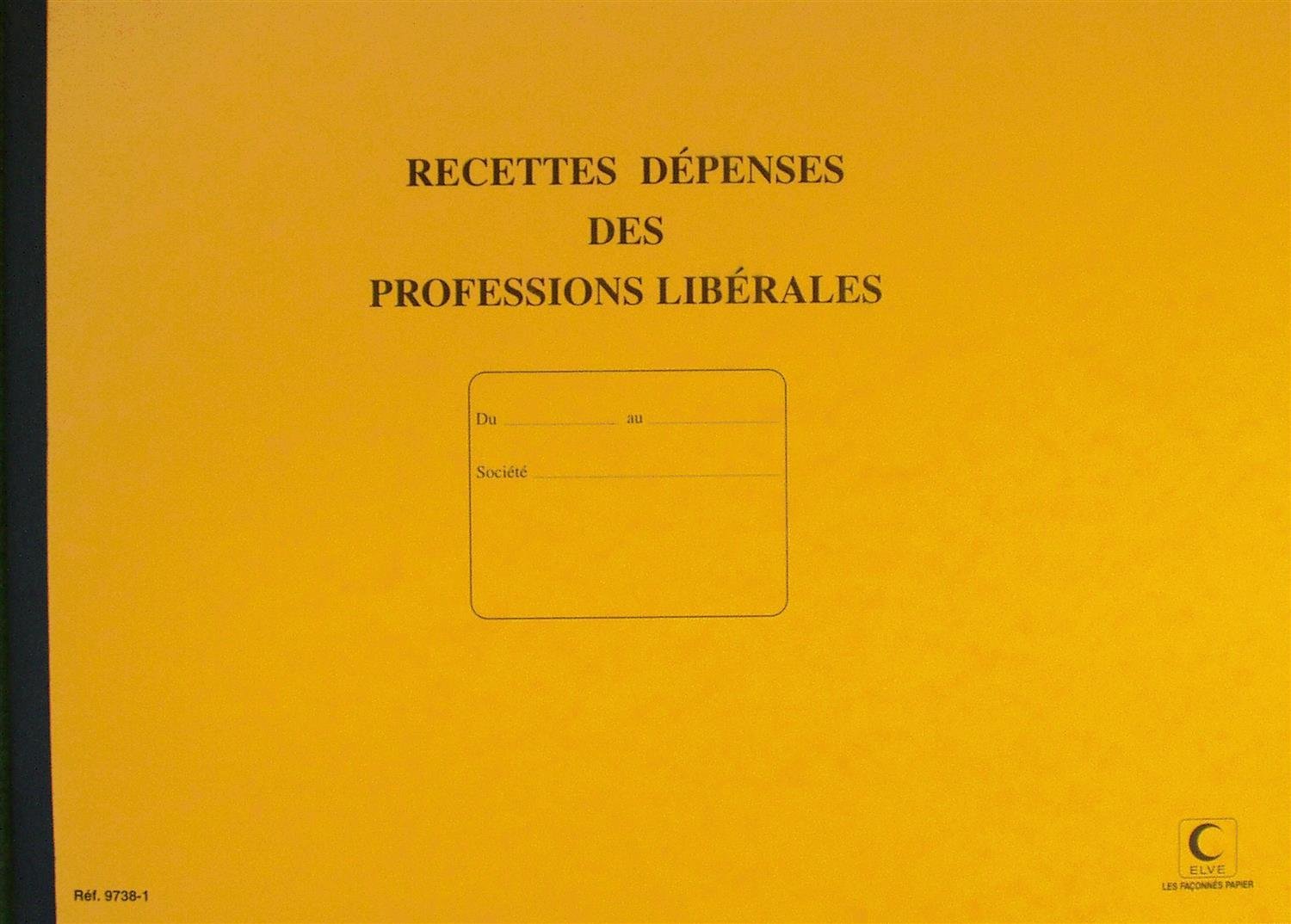 LES FACONNES PAIER - journal recette/dépense profession libérale 80pages, 27x37cm assotriment couleur