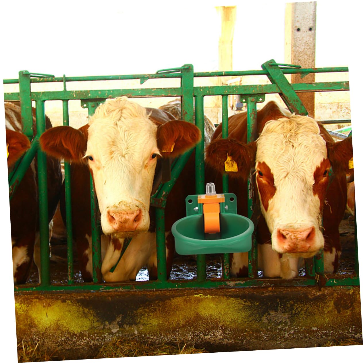 Ciotola Automatica per Bere per Bestiame 2 Pezzi Plastico Verde | Forma a Ciotola, Manutenzione Semplice, Uso in Ambienti Agricoli E'aperto per Bovini Eevamenti