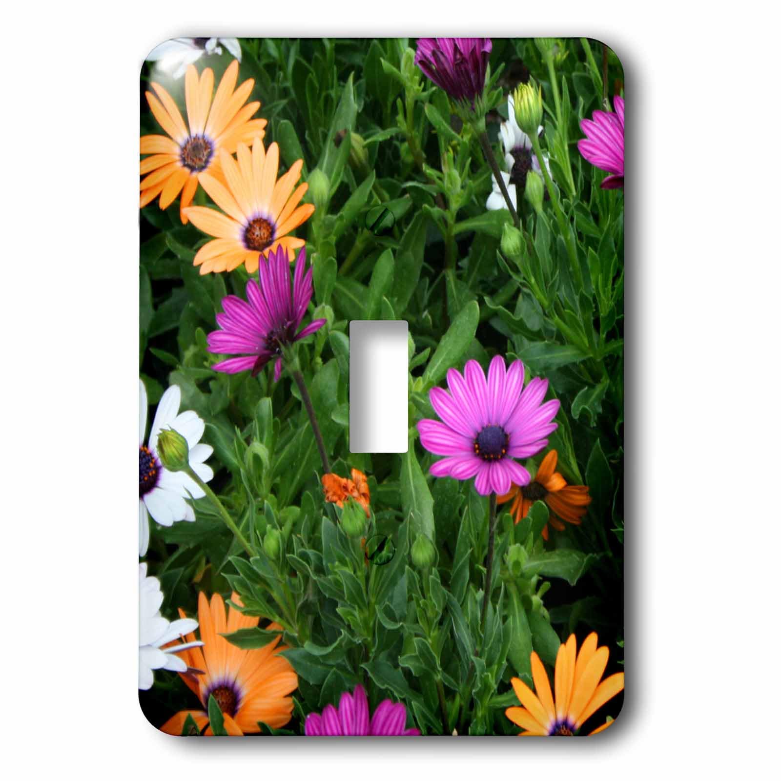 Interrupteur à bascule multicolore lsp_184737_1 Gerber Daisies décor floral