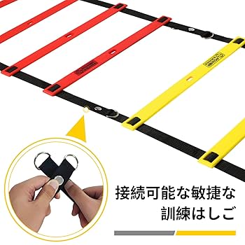 【入手困難】Rotate Primary 1-4903-02 ラボランサニメント手袋 PE スタンダード（エコノミー