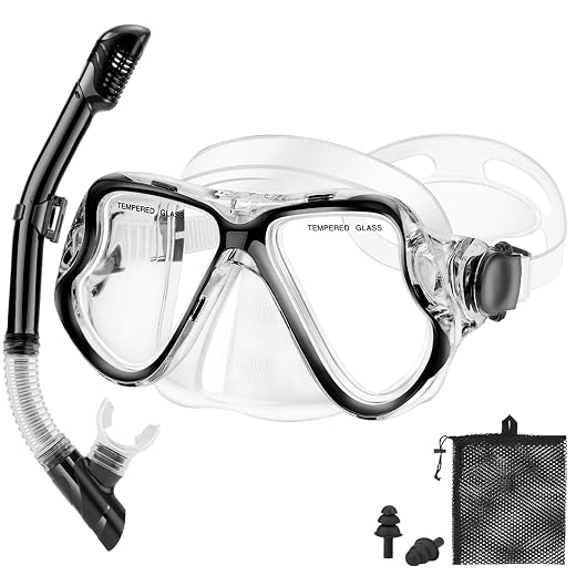 Snorkeling Gear for Adults Kids, Dry Snorkeling Set, Panoramic Anti-Leak and Anti-Fog Tempered Glass Lens, Adjustable Strap Snorkel Set with Mesh Bag Ear Plug for Snorkeling Scuba Diving Travel