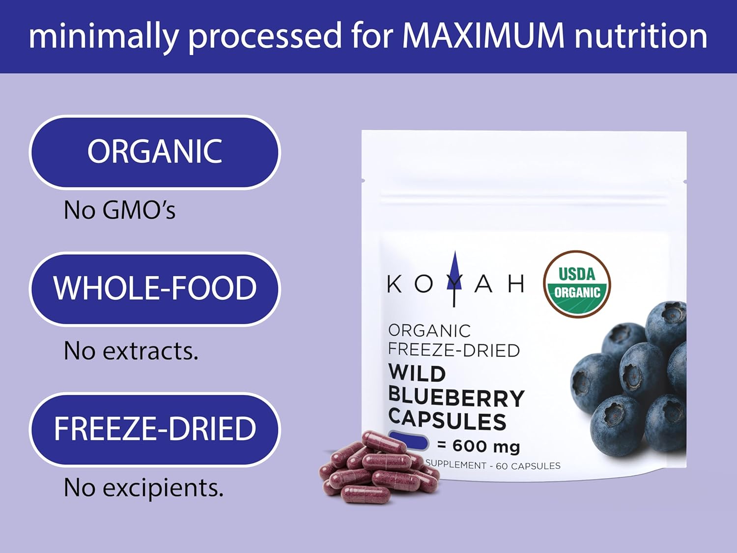 KOYAH - Organic Wild Blueberry Capsules – Freeze-Dried Whole Fruit – 600 mg (3,960 mg Fresh) – Lowbush Variety (Vaccinium angustifolium) - Cognitive Function & Antioxidant Support - 60 Capsules - Image 3