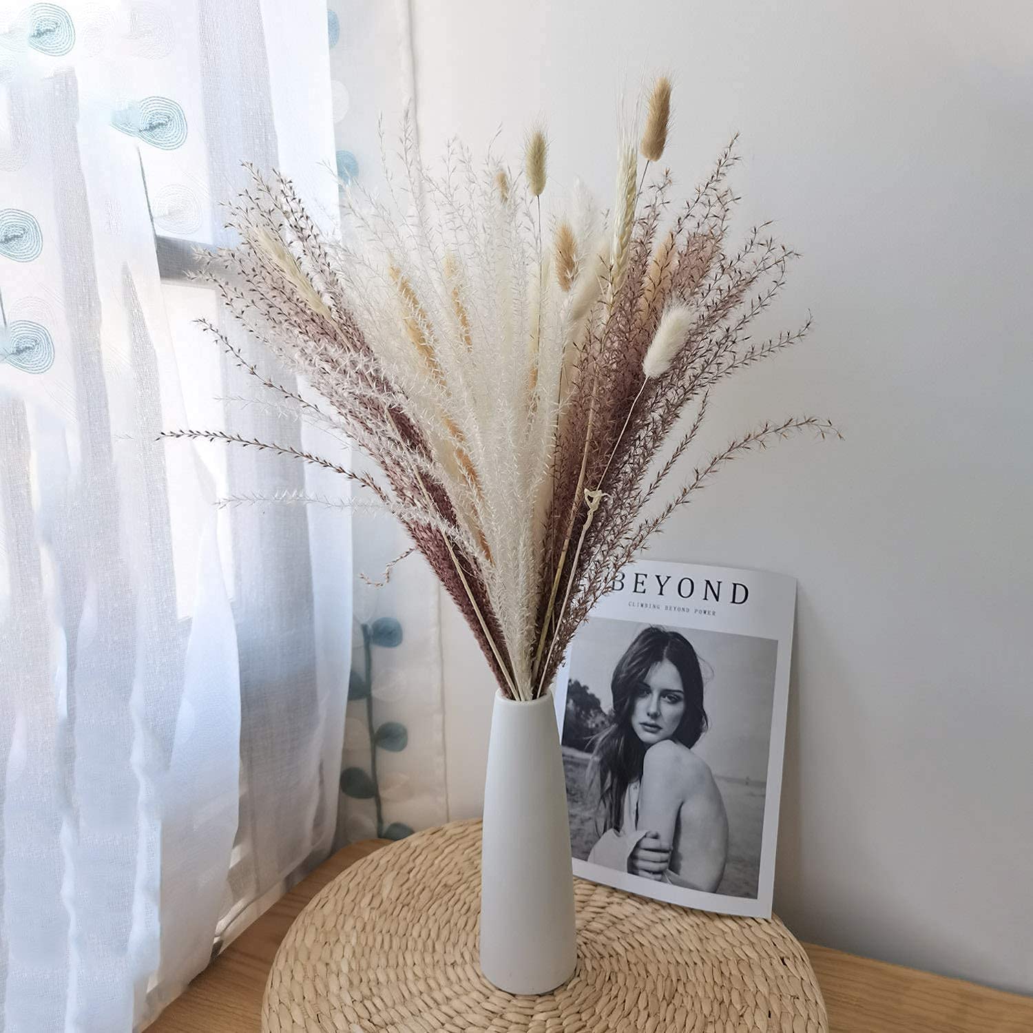 Generic Pampas