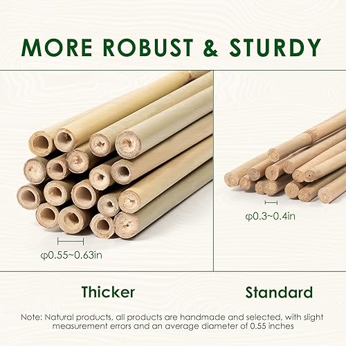 Miniatura 2 de Estacas de bambú de 4 pies más gruesas con cordel de jardín, diámetro de 0.55 pulgadas, estacas naturales de bambú para plantas trepadoras, soporte