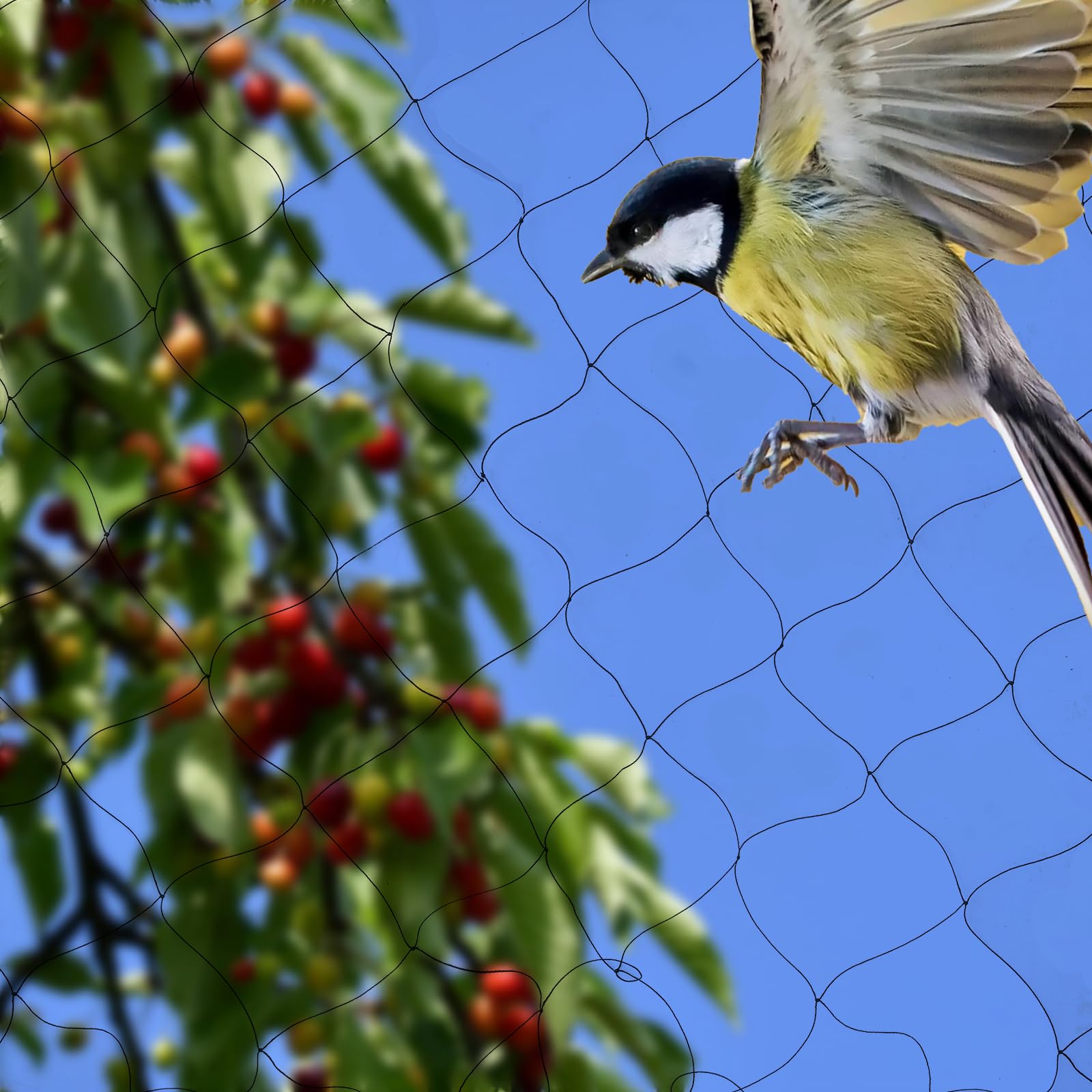 Rete di protezione per uccelli, 30 x 15 m, a maglia stretta (50 x 50 mm), per balcone, robusta, resistente alle intemperie e ai raggi UV, per stagno, per giardino, balcone o stagno, alberi da frutto