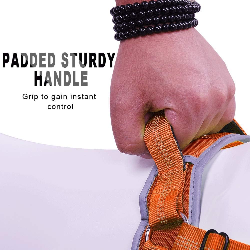 ThinkPet Dog Vest Halter Harness -No Pull Dog Harness with Handle for Large Medium Small Dogs Puppy Training Escape Proof Heavy Duty Front and Back Clip Comfortable Padded Sport Harness for Easy Walk
