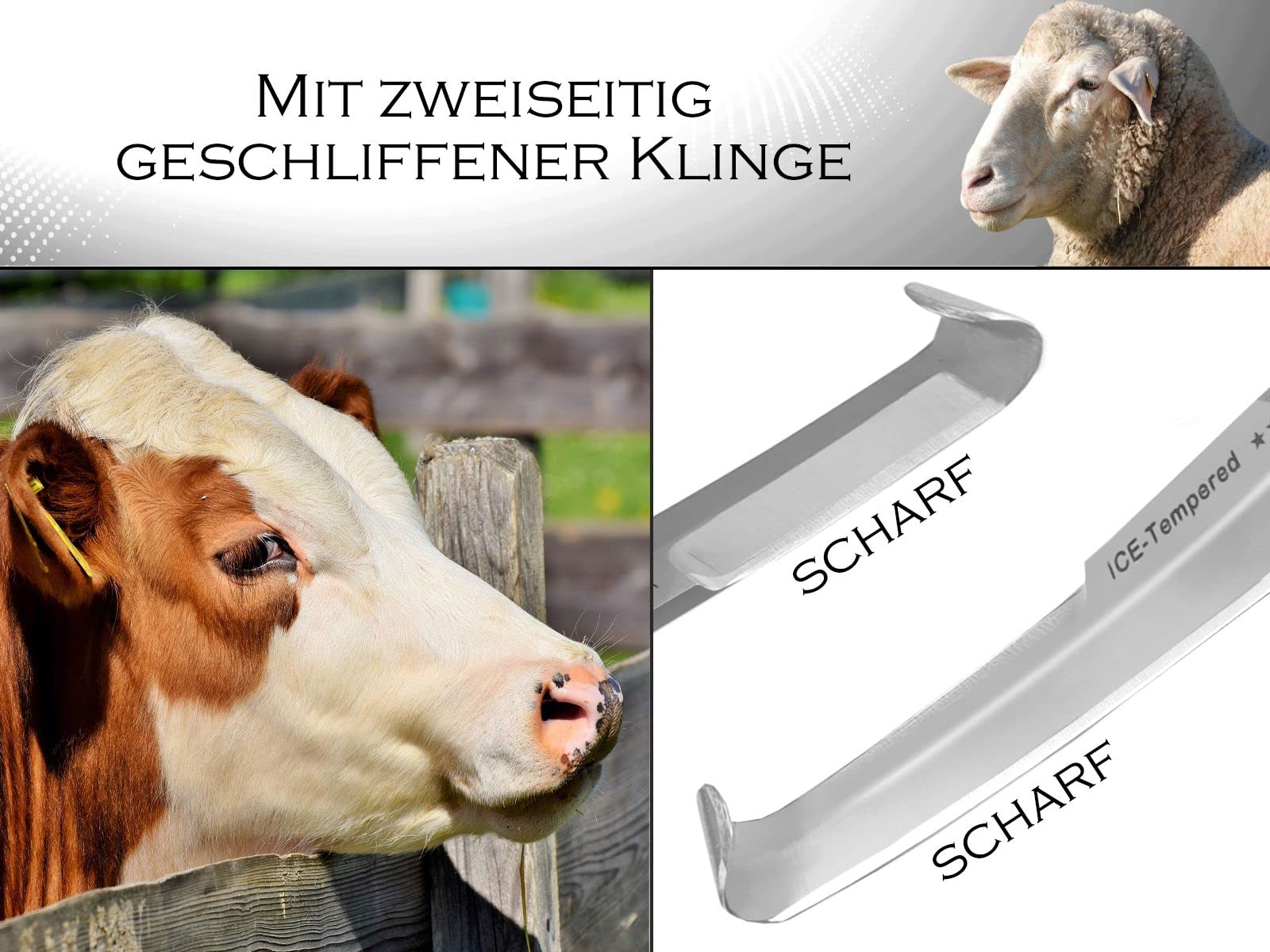 Profi Pferde Hufschmied-Werkzeug Set 3-teiliges Pferdehufpflege-Set