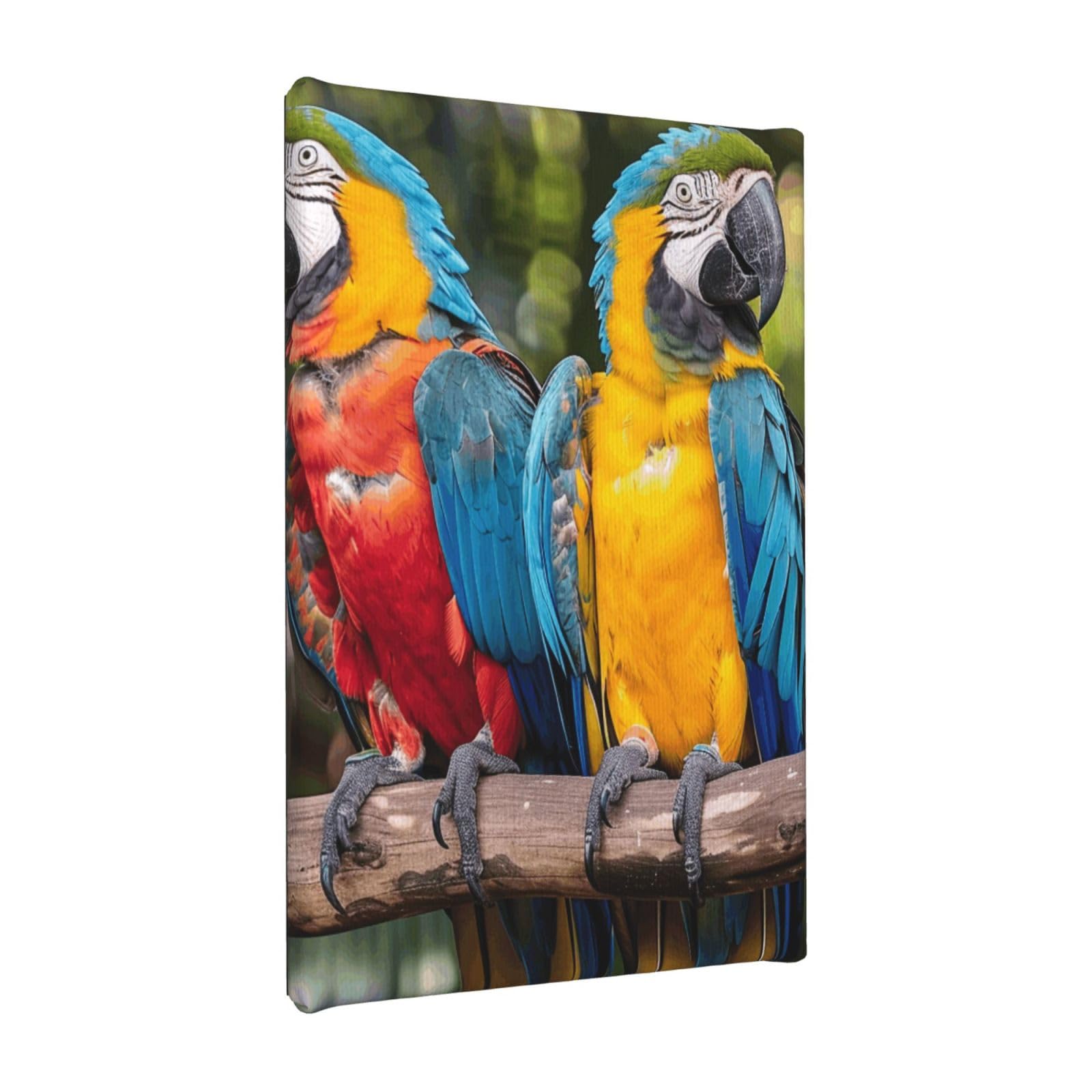 YKLJG parrots Printed Wall Art Canvas Painting 20x30 CM Wooden Framed Picture Painting Artwork Prints for Bedroom Kitchen Home Office Decor