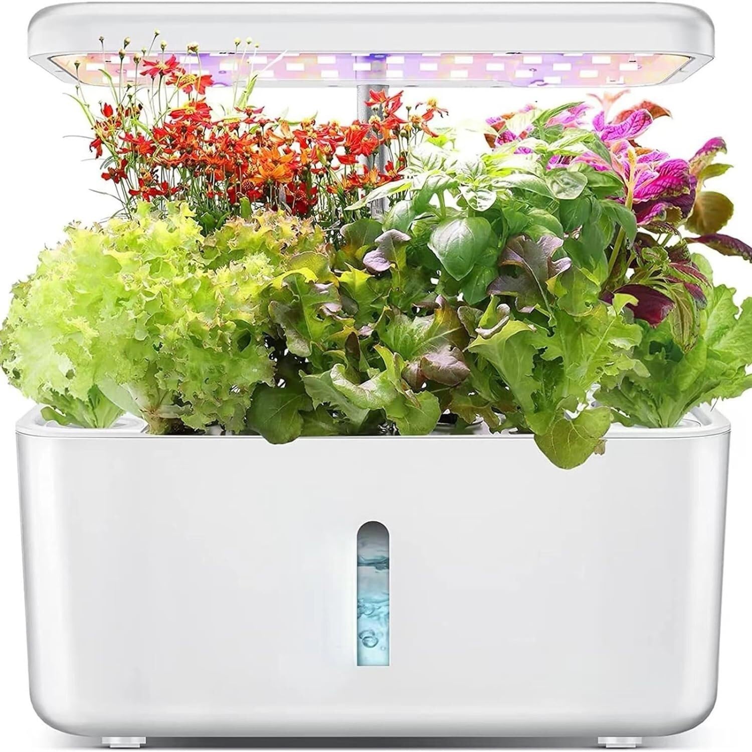 Sistema idroponico per giardino di erbe aromatiche da interni, con luce LED e timer automatico, kit per la coltivazione di microgreens con 8 cialde per la cucina