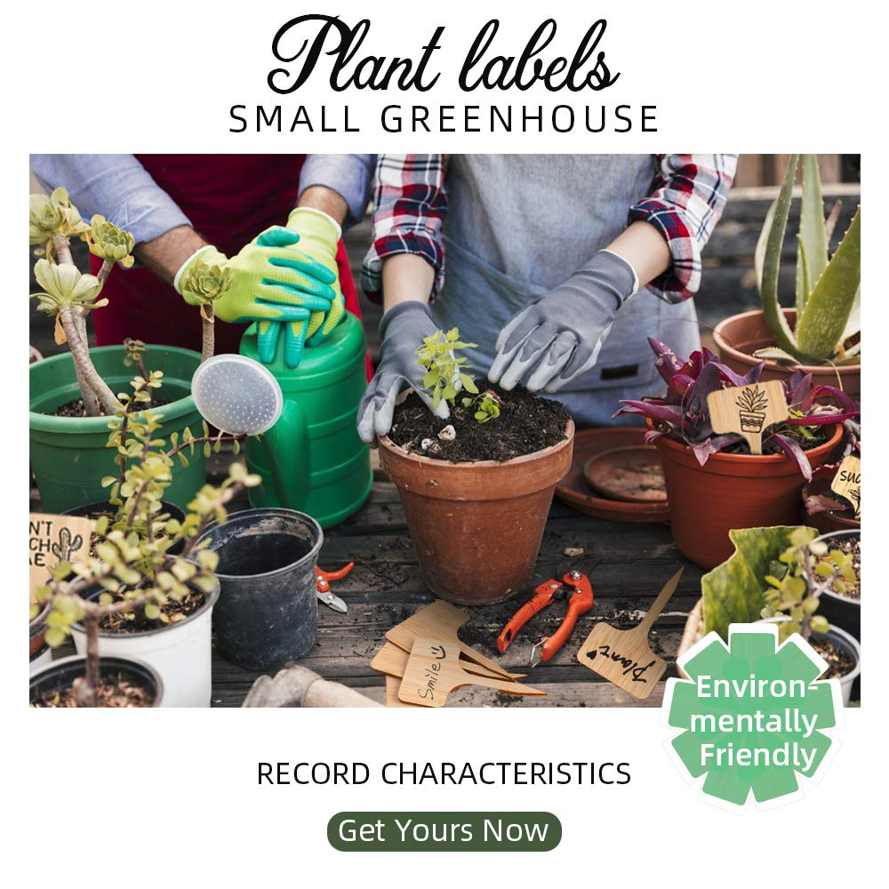 RTRTGS 50 Pièces 2 X 10CM Etiquette Pour Plante, Suspendable Etiquettes