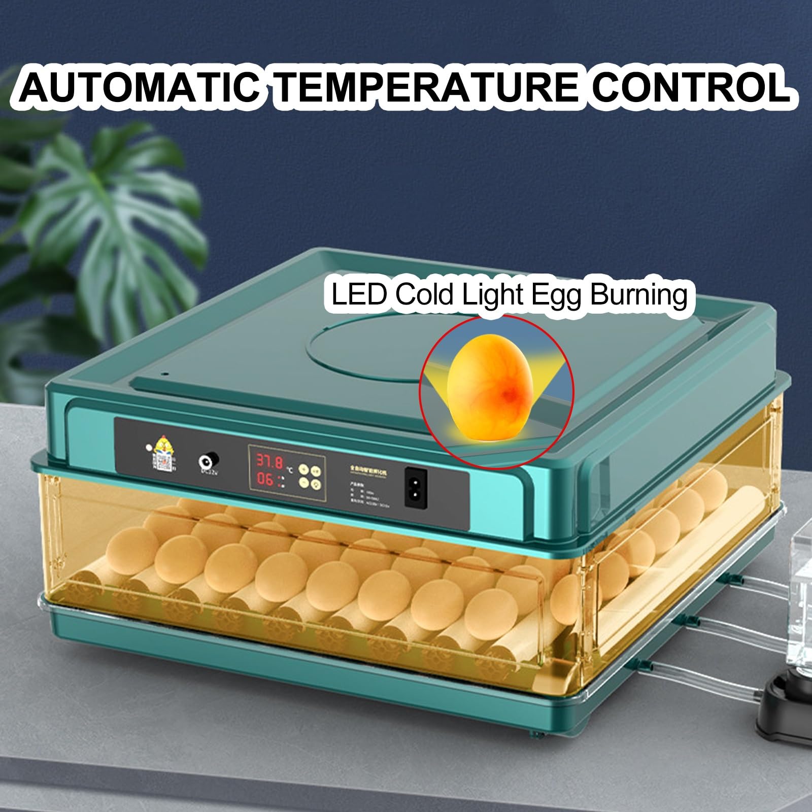 Incubadora de Huevos de Gallina, con Volteador Automático, Ovoscopio y Control de Temperatura, for Incubar Huevos de Gallina, Codorniz(36pieces)