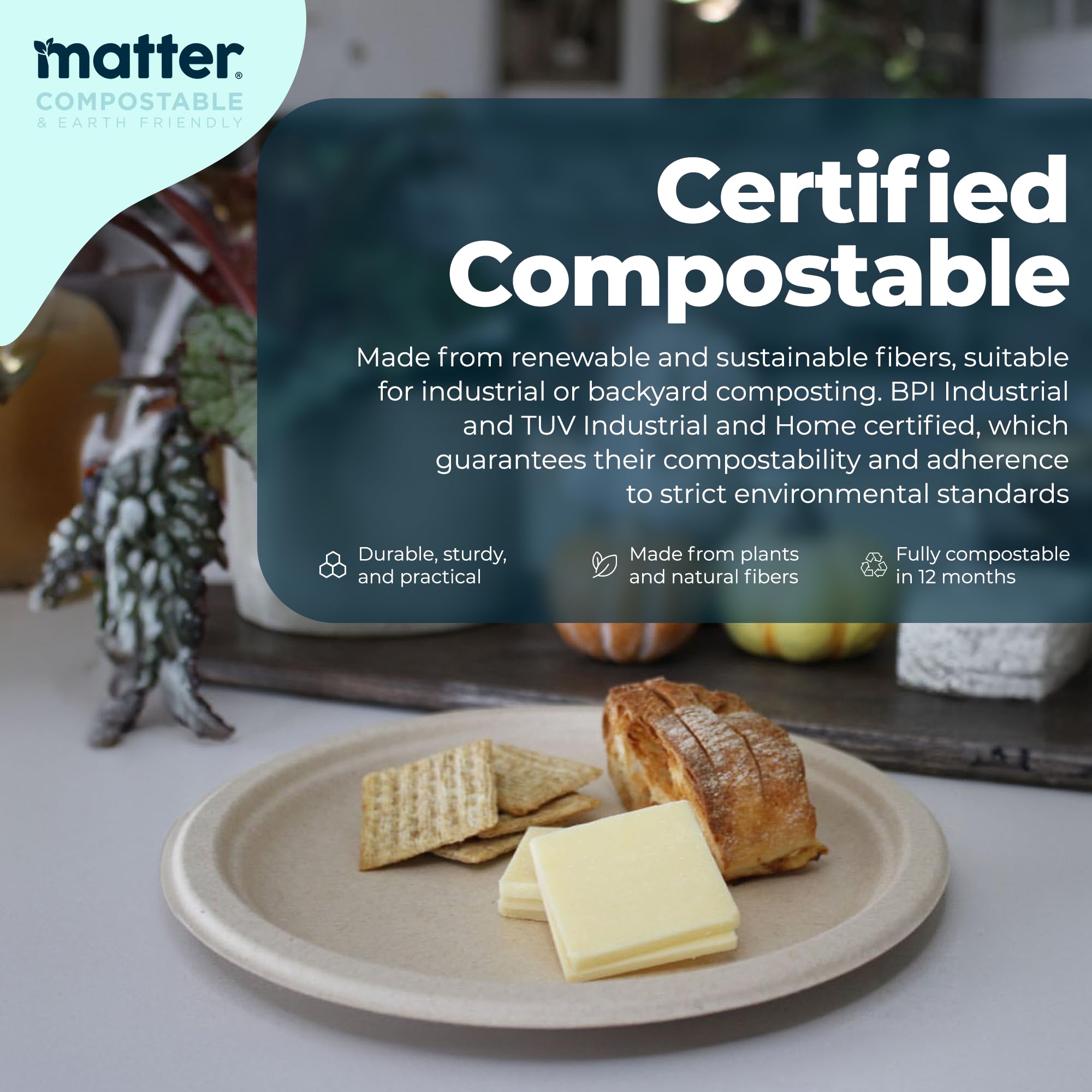 Matter Platos de papel compostables de 6 pulgadas, platos de postre desechables, resistentes para aperitivos, chocolate, pasta, ideales para barbacoas en el patio, platos de fiesta y contenedor de