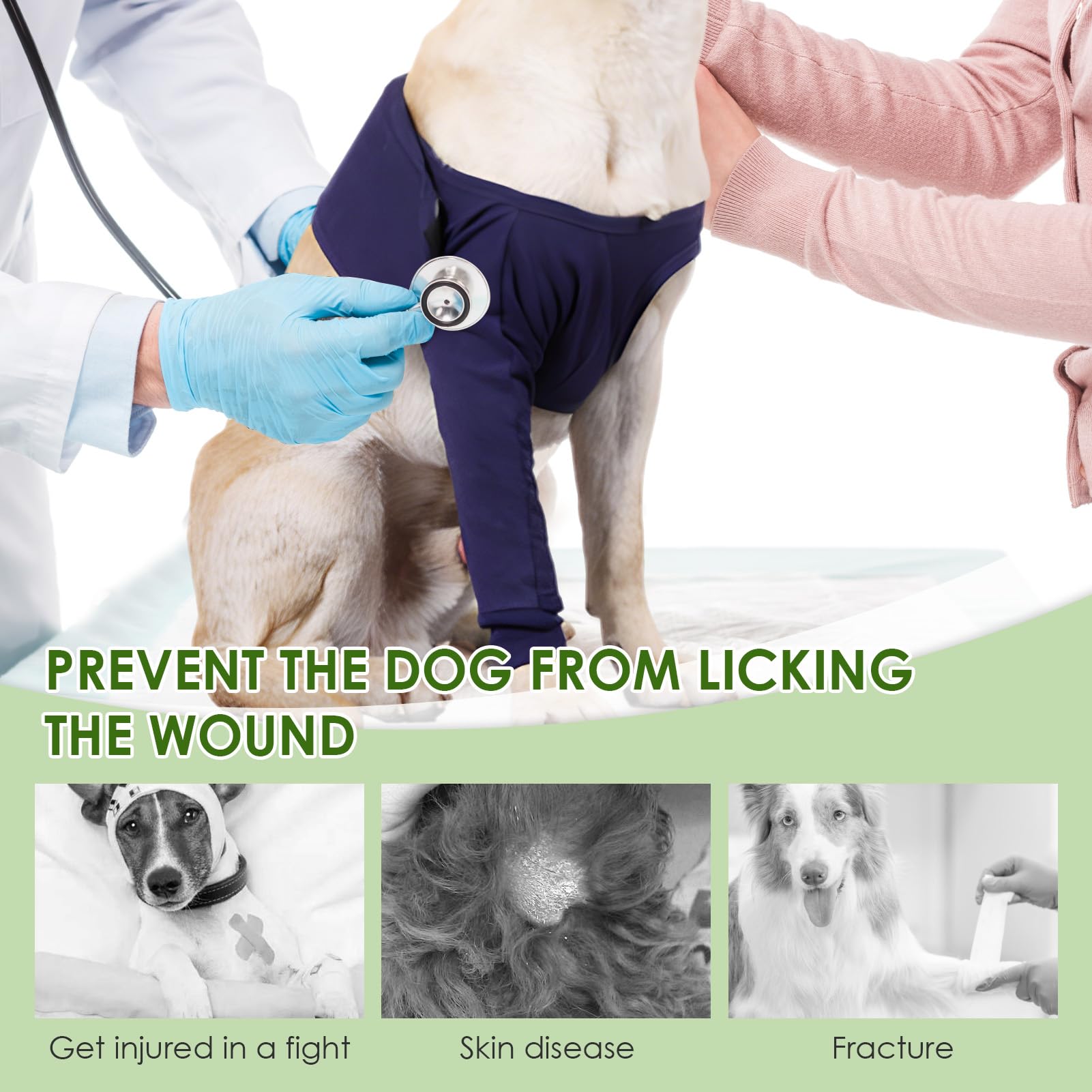 UIHRLM Dogs Anti-Licking Sleeve - Image 3