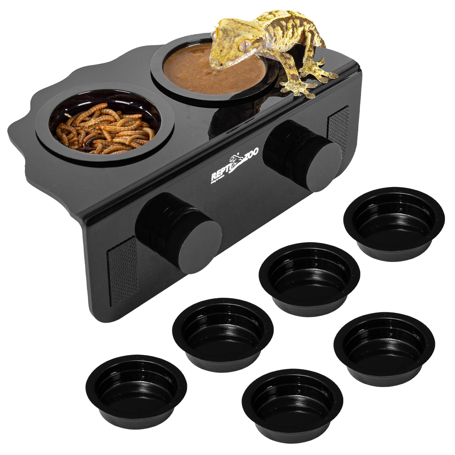 REPTI ZOO Magnetic Gecko Feeding Ledge - terrarium bowls | Mubboo