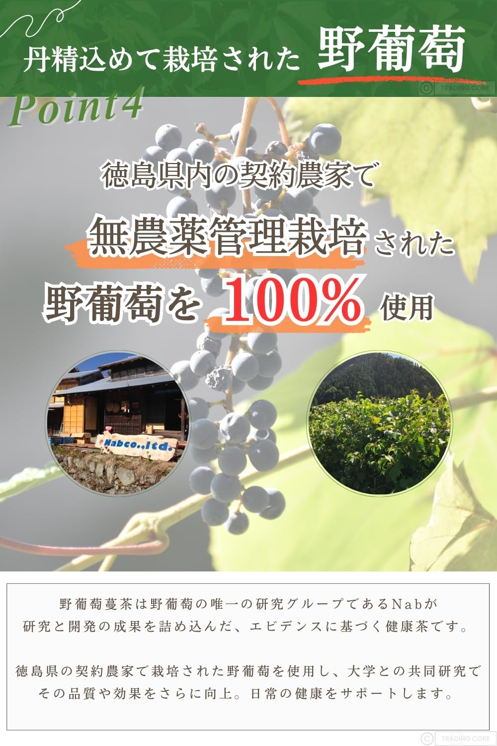 Amazon.co.jp: 野葡萄茶 3g×30バッグ : 食品・飲料・お酒